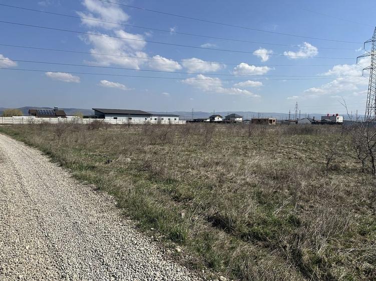 Teren Walter Maracineanu 6000 mp (90 m front stradal) Stejarului - 3