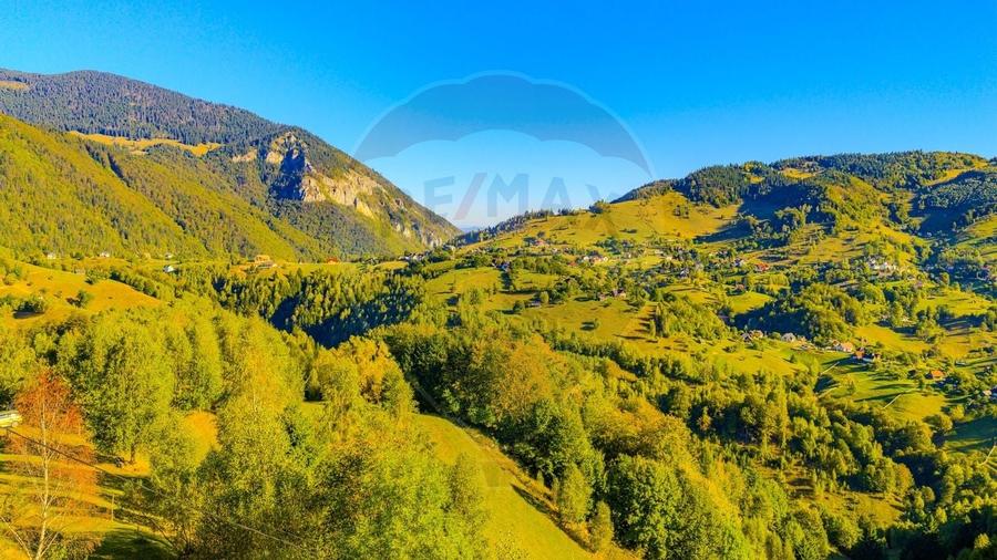 COMISION 0% Teren 10,594mp Pestera /Intravilan - 10