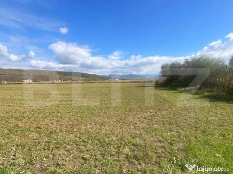 Teren Extravilan in Apropiere de Jelna 25.800 mp, cu Ut - 3