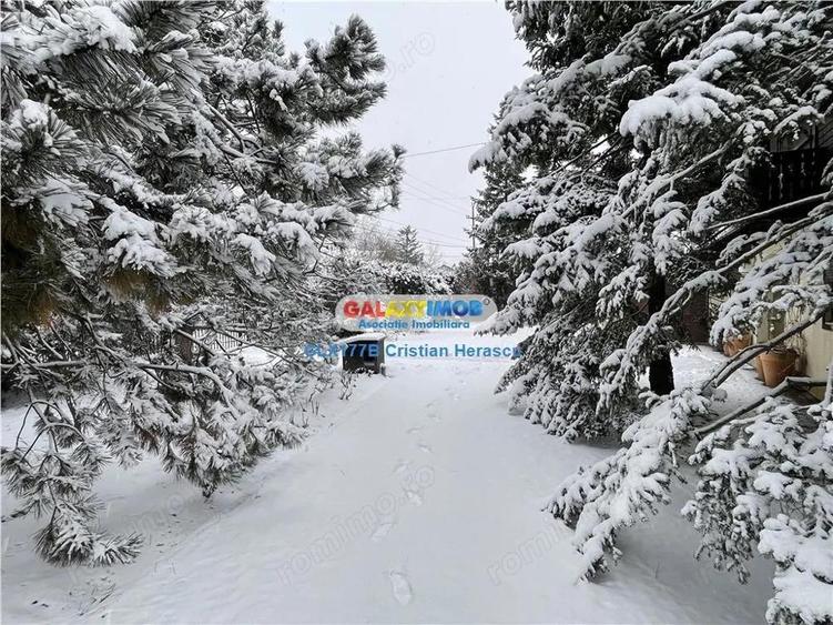 Otopeni Ana Aslan Str Valea Pasarii P+1 SU 340 mp teren 1500 mp - 5