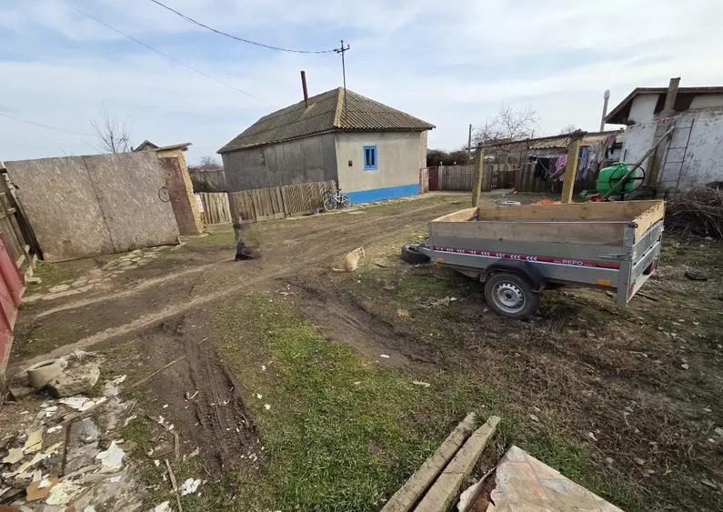 Casa + teren in SABANGIA -jud TULCEA - 5