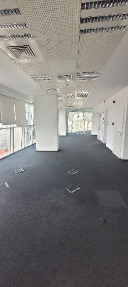 Armand Business Center, Rosetti, 310 - 686 mp  0% comision! - 14