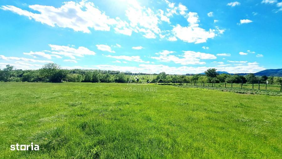 Teren Valea Mare Runcu Gorj Lini?te ?i Natura - 4