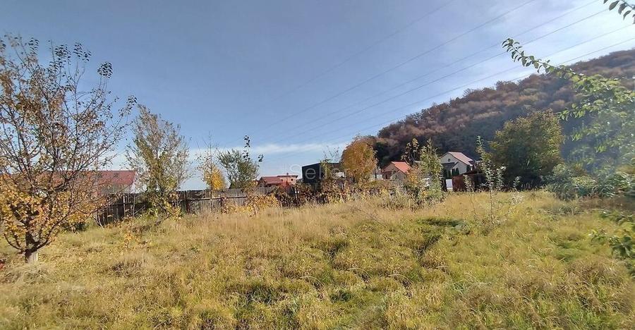 Teren Intravilan Bunloc - 12