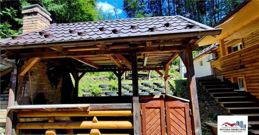 Cabana de Zona Lunca Bradului - 6