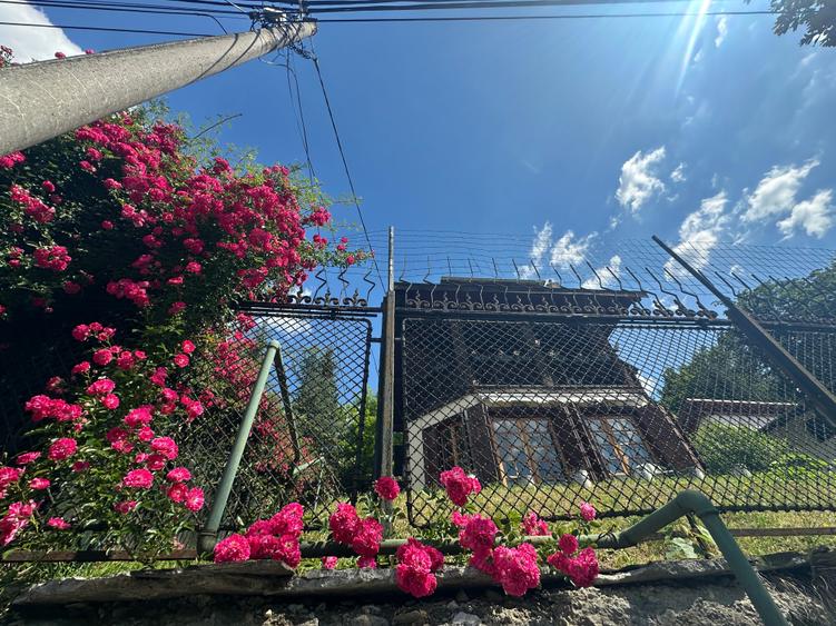 Azuga - Strada Garbovei - 20