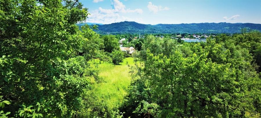 Casa Breaza 215mp,teren 2055mp,priveliste frumoasa , zona de deal fara poluare - 12