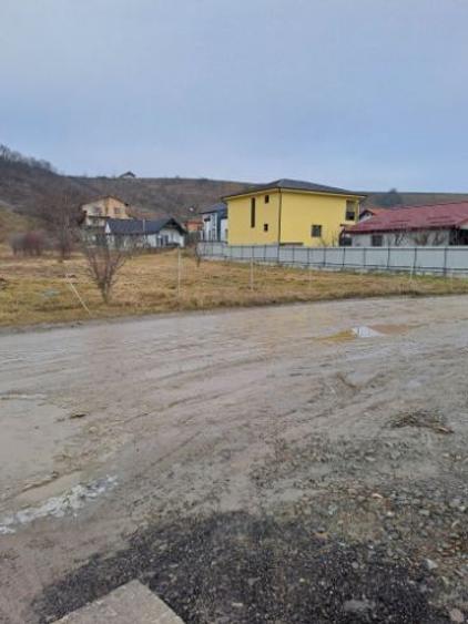 Teren intravilan pentru constructii in Sinnicoara - Sub Coasta, Apahida - 3