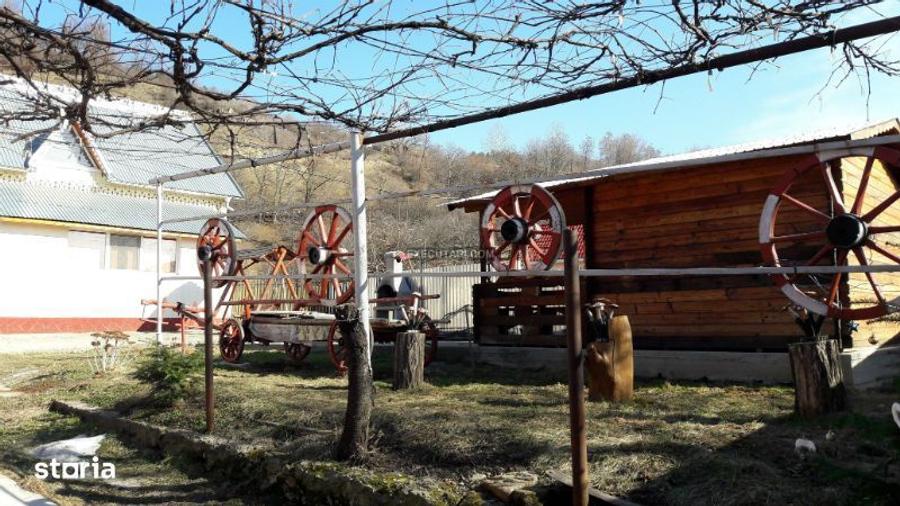 Teren 3.523 mp + Doua case si Anexe 180 mp - Plopu, Bacau - 6