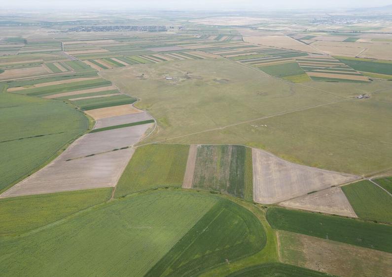 Teren arabil de 40 hectare in Zarand - 1