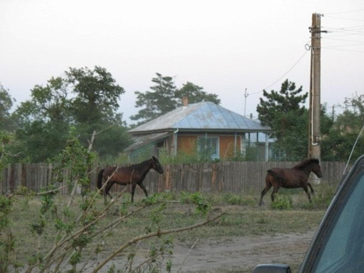 DELTA DUNARII, BIOSFERA, LETEA, Proprietate de VIS!  proprietar, - 10