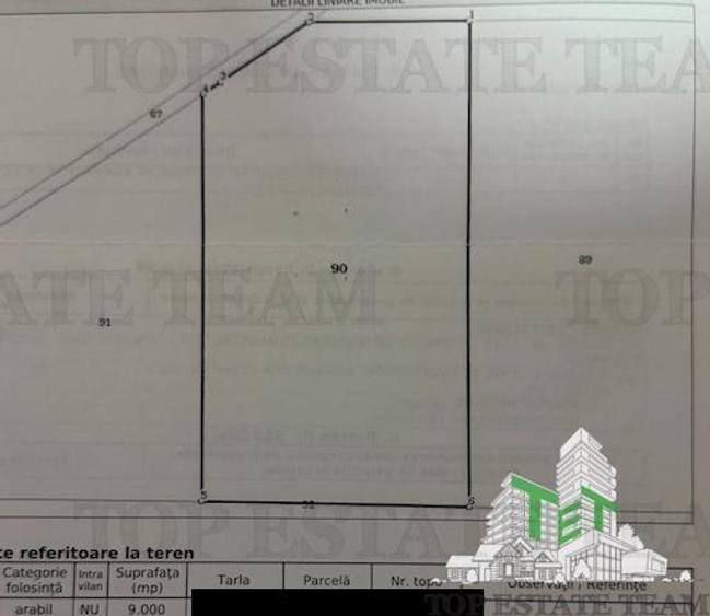 Teren de vanzare Branesti, deschidere la A2, 9000 mp - 3