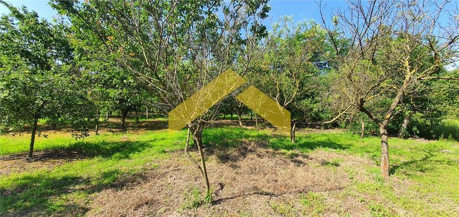 Casa la sol de vanzare Timisoara, zona Mehala - 2