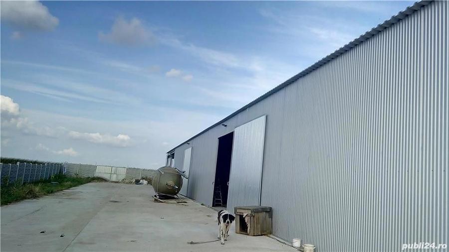 Inchiriem spatiu - 2