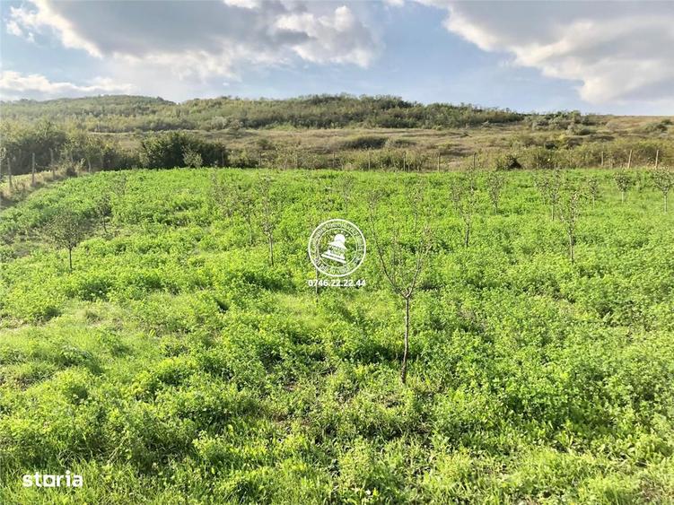 Teren pentru constructii case de vanzare Iasi, Mogosesti, - 1