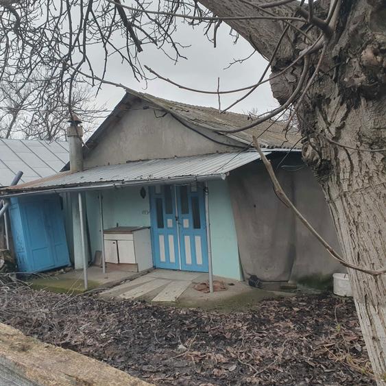 Casa batraneasca Chiscani - 3
