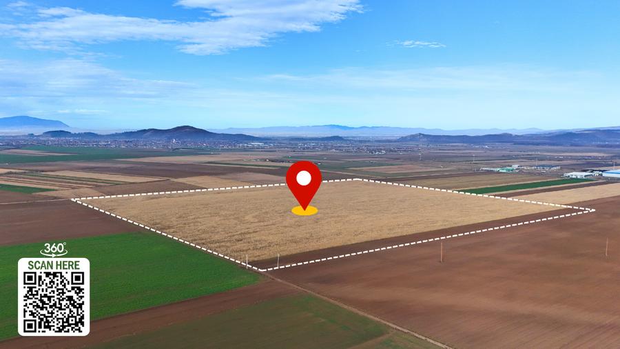 Teren 32,5 Ha compact Prejmer, Brasov. Imagini drona,tur/360 - 2