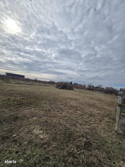 Loc de casa 500 mp, F.S. 20 ml, loc. Bodrogu Nou (com. Zadareni) - 1