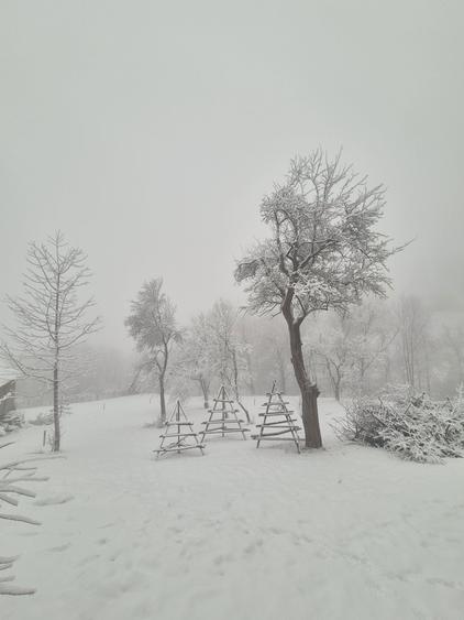 Vand 1200 mp teren parcelabil in Valea Doftanei . Prahova - 1