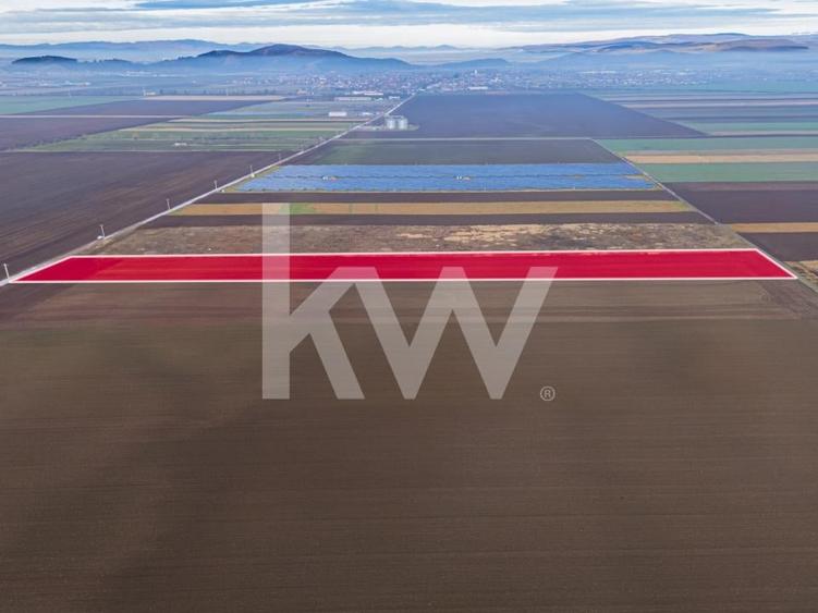 Teren exceptional pentru investitii industriale langa Brasov - 2