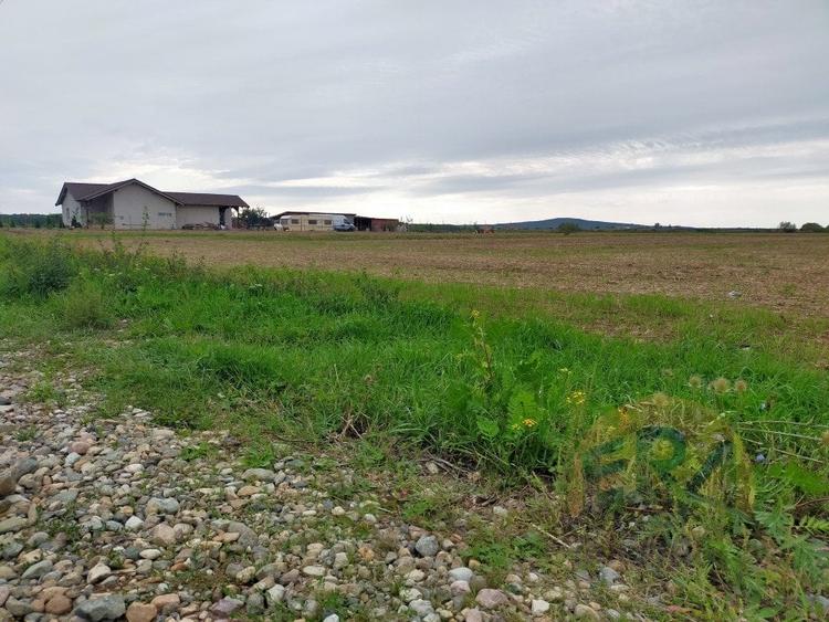 Teren Osorhei, Str. 610 - 5