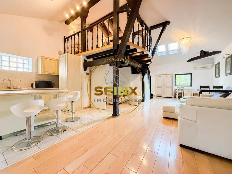 Vila eclectica individuala, curte proprie zona Armeneasca - 25