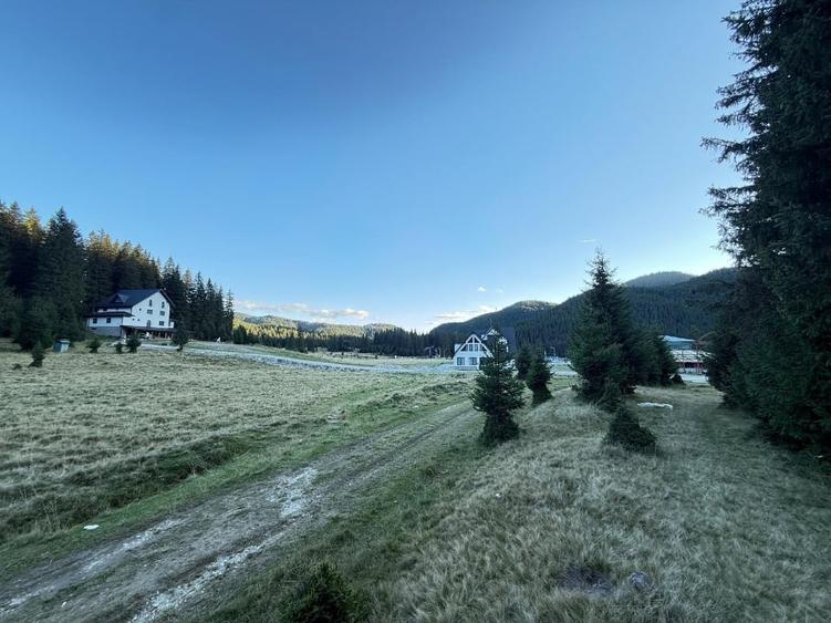 Oferta !!! Teren Padina - Pestera - 4