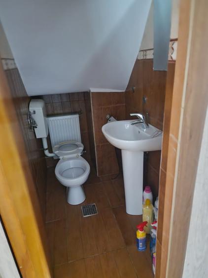 Vila P+E si teren intravilan 1,5Ha,cu zavoi+iaz,lac peste si livada-investitie - 21