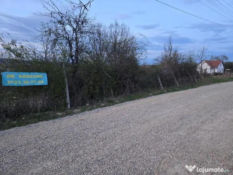 Ter Zona Coline-Raspantii, 1000 mp , utilitati, intre case, gaz - 9