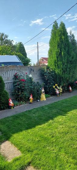 Casa de vanzare in Slatina, cartier Clocociov - 9