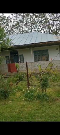 Casa de vanzare jud Teleorman in Perii Brosteni Str: Alexandru Ioan Cuza - 4