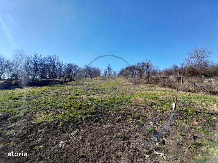 Casa individuala la 6 km de Bistrita,2400mp.teren - 6