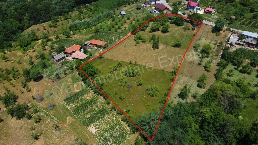 Teren de vanzare in comuna Cicane?ti, sat Bara?ti, jude? Arge?. - 9