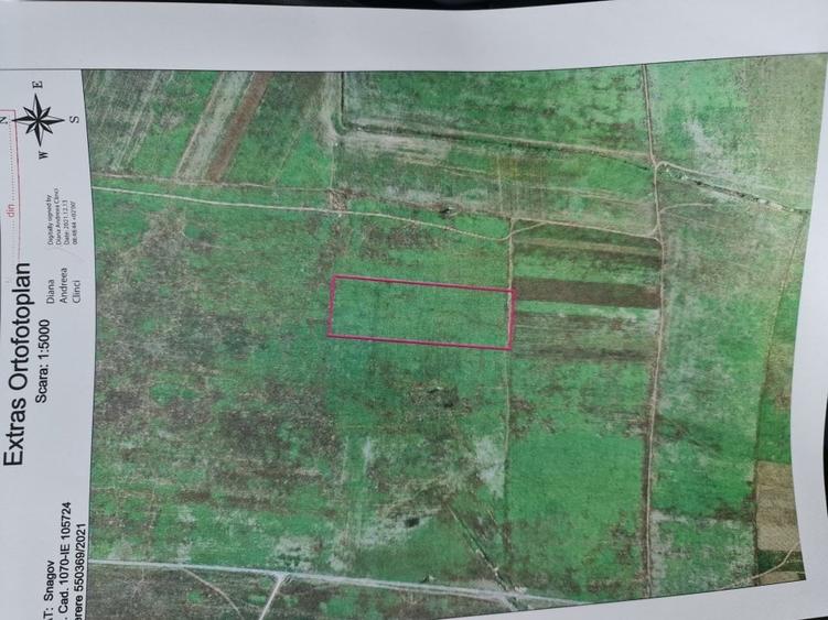 Tancabesti 50,000mp,Golf,autostrada A0 - 6