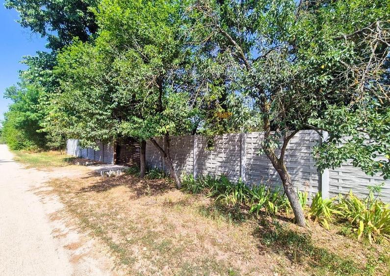 Casa , teren intravilan Urlueni Barla Arges - 8