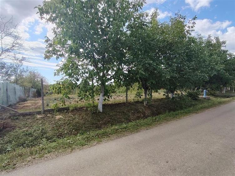 RECO teren intravilan in Saliste de Beius - 3