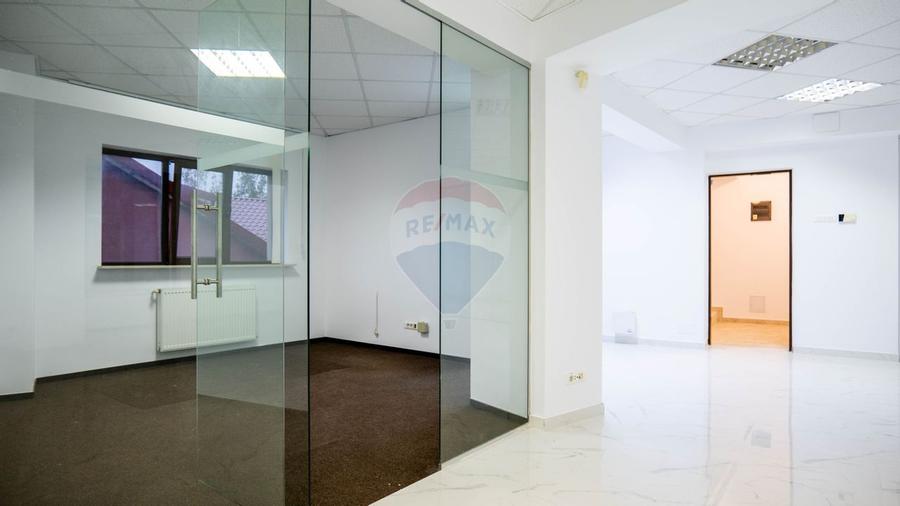 INVESTITIE - Vanzare vilă spatioasa cu S+P+2E+M, zona Doamna Ghica - 17