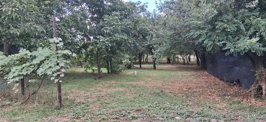 Casa de vanzare , zona centrala - 4