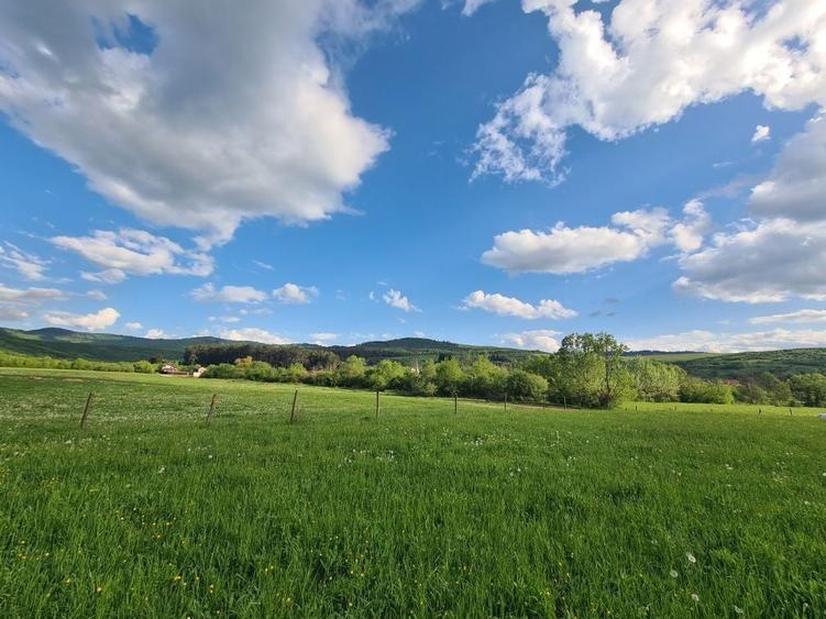Vand teren intravilan Purcareni Tarlungeni - 10