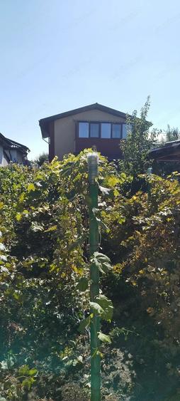 Casa de vanzare in Branesti-Ilfov - 6