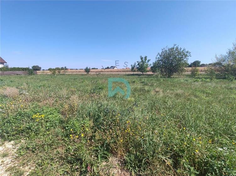 Teren intravilan de vanzare Stupini Brasov - 4