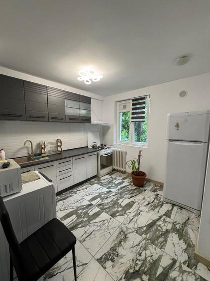 Inchiriere apartament 2 camere Piata Resita - 2