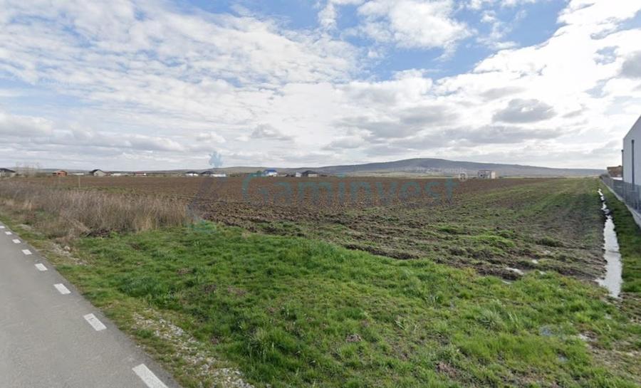 Teren intravilan de inchiriat in Cheriu , la 50 m de Inelul Metropolitan - 2