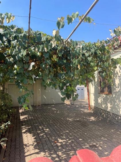 Casa de vanzare Arad,cartier Sanicolaul Mic - 2