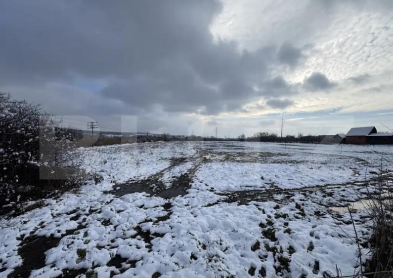 Teren intravilan 35 arii opurtunitate investitie - 3