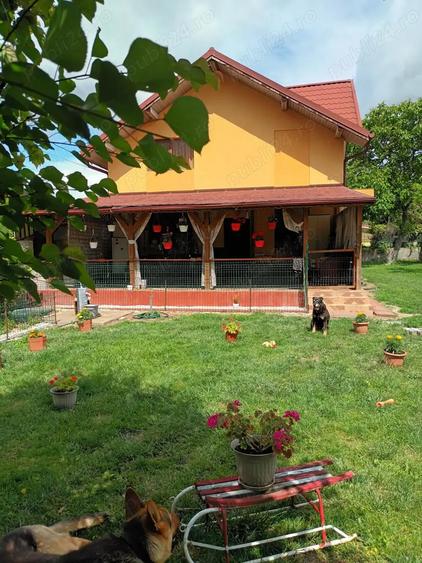 Casa cu etaj (P+1) gradina 736mp - 9