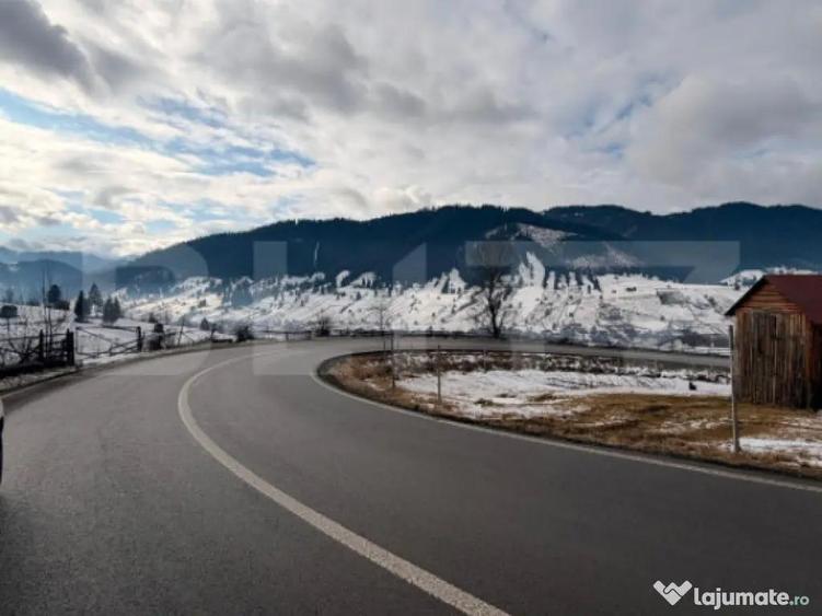 Teren extravilan 8290 mp, Front 50ml - Sadova - Panorama Buc - 1