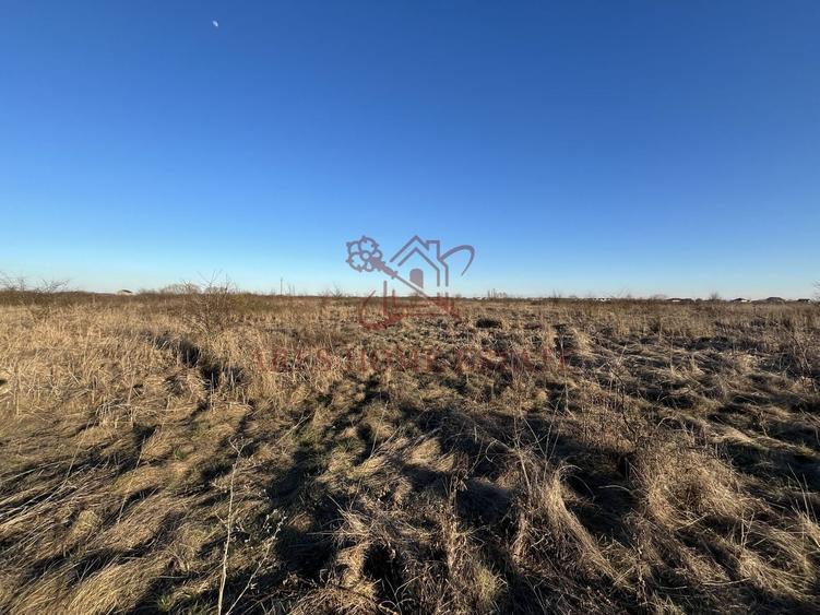 Zona Urban Village, aproape de centura | 20 euro/mp | Mosnita Veche - 3