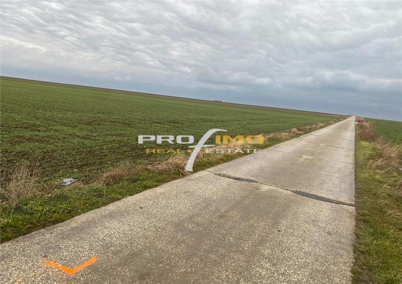 Plaja Corbu-Teren 4200mp. la numai 8 euro /mp. Soseaua asfal - 10