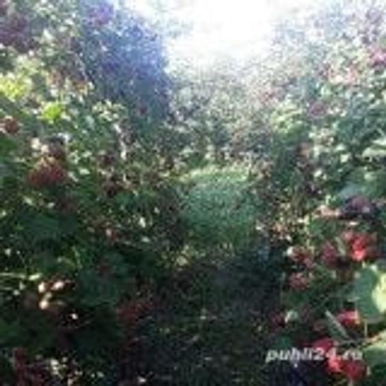 URGENT-Vand gospodarie in localitatea Paduretu, ora? Babeni Valcea - 2